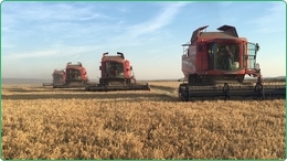 Ferme irriguée de 1400 Ha à vendre en Roumanie